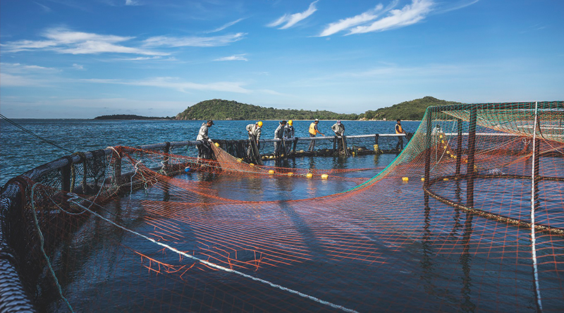 Global Fund for Coral Reefs and Oceanpick Partner to Transform Aquaculture and Support Coastal Communities in Sri Lanka