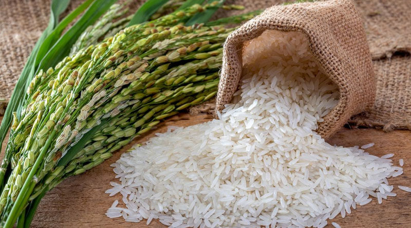 Rice shortage, price surge fueled by increased beer production?