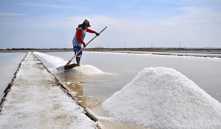 Cabinet approval to import salt to resolve shortage