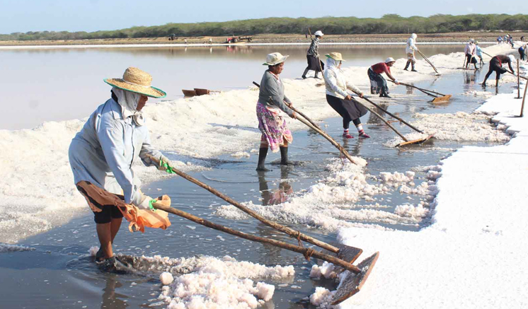 40% decline in salt production: Sri Lanka to import salt?