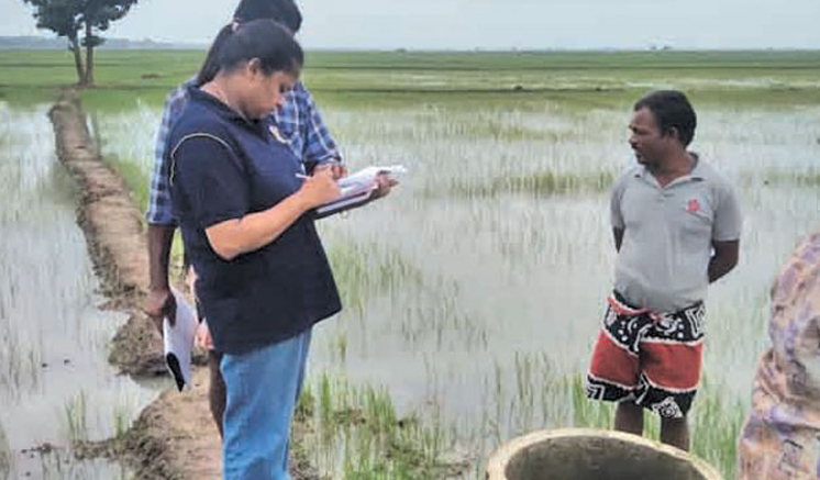 Special investigation into land allocations since 2015 Special investigation into land allocations since 2015