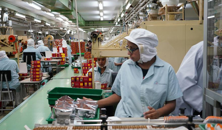 Sri Lankan tea exports revenue reach 1.43 billion USD in 2024