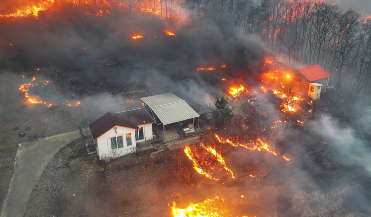 Sri Lankans in South Korea advised to be cautious as wildfires ravage