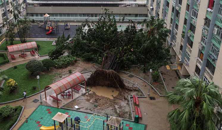 Hong Kong reopens after world’s most powerful cyclone Ragasa