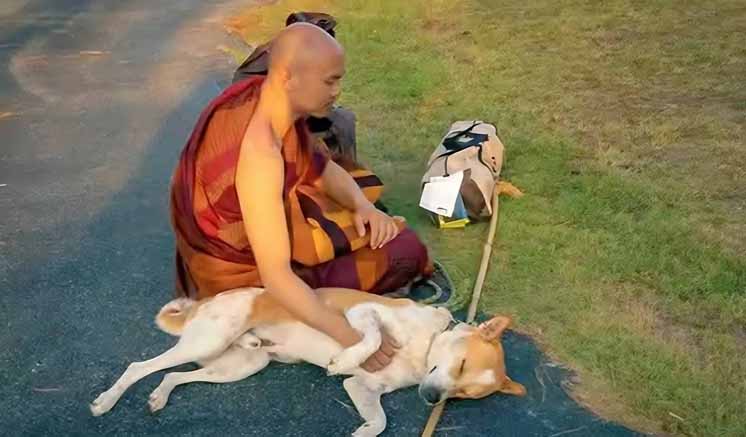 Final day of ‘‘Ehi Passiko’‘ Peace Walk today; Special state ceremony and traffic plan in Colombo